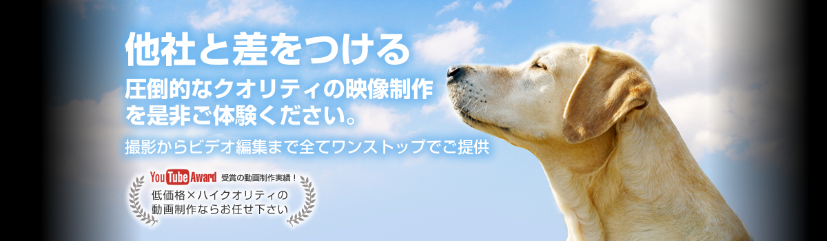 他社と差をつける圧倒的なクオリティの映像制作を是非ご体験ください。